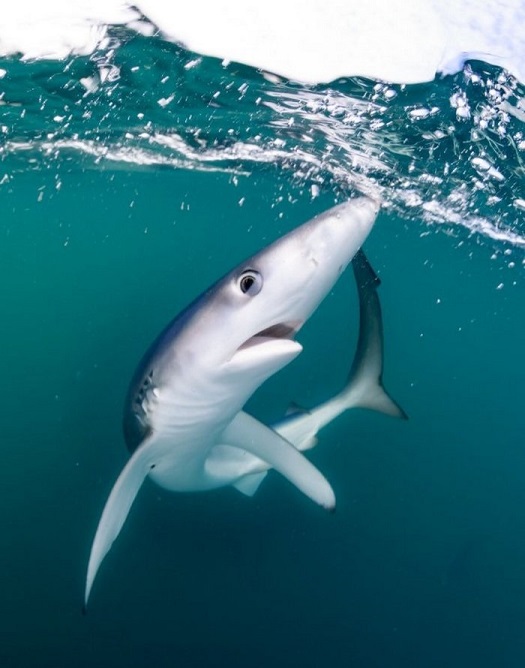 Свежая подборка красивых фото