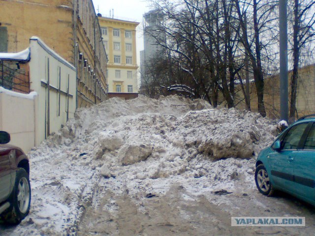 Собянин запретил чистить машины от снега
