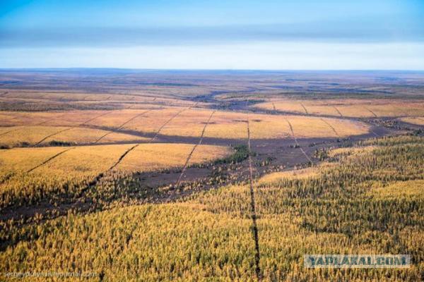 Тормозов нет на%^&