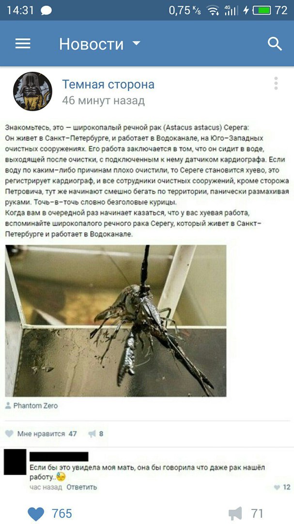 Ужасы и приколы из соцсетей 18+