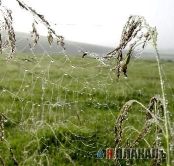 Капельки