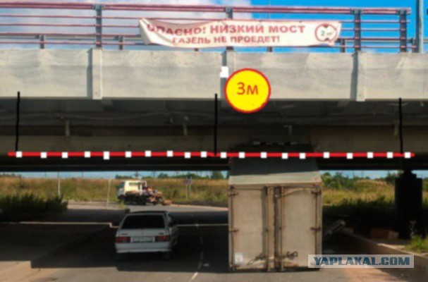 В петербургский мост с надписью «Газель» не проедет» врезалась уже 16-я «Газель»