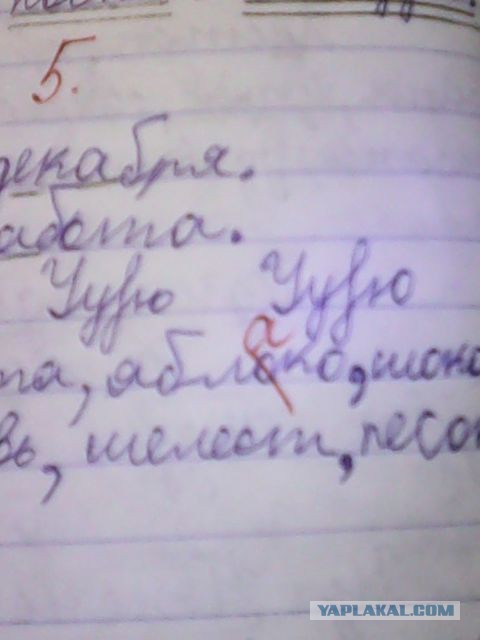 В США профессор «завалила» студента, утверждая, что Австралия — это не страна. Её уволили
