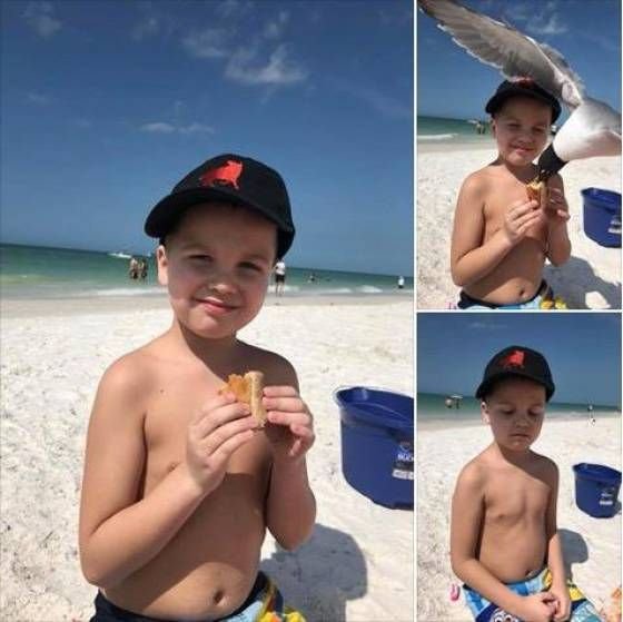 Прикольные картинки обо всём