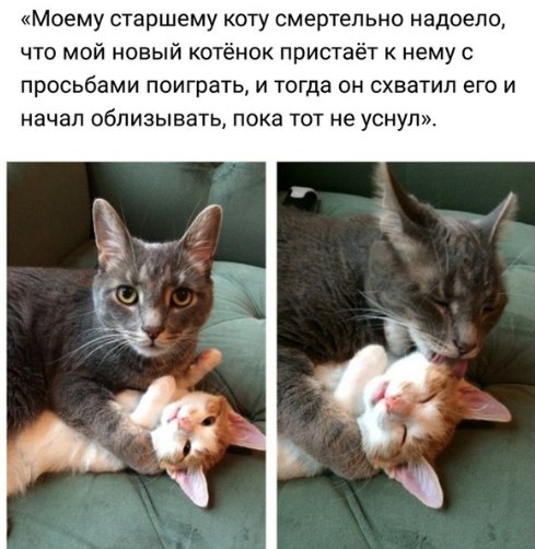 Прикольные картинки