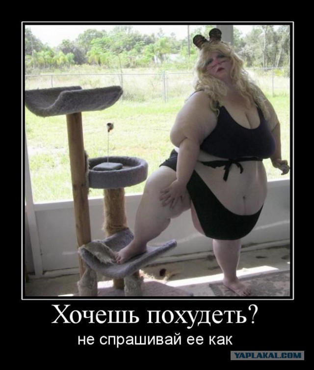 Лишний вес не проблема. Люди которым удалось справиться с излишками веса