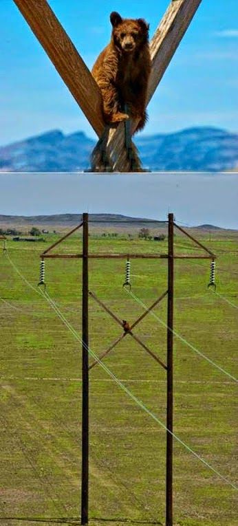 Не самый лучший день