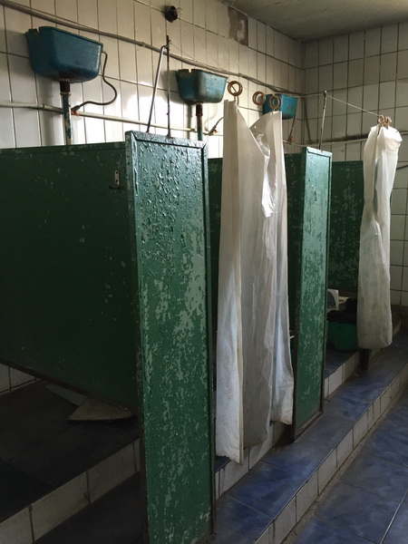 Вся жесть сурового Омского туалета на рынке