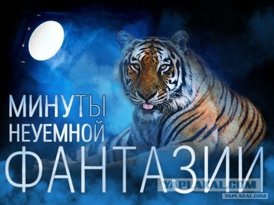 Фокус с медузой на сельской дискотеке.