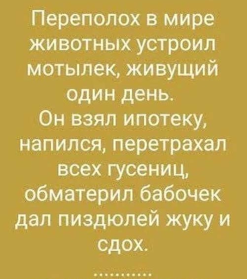 Юмор в картинках 23.10.20