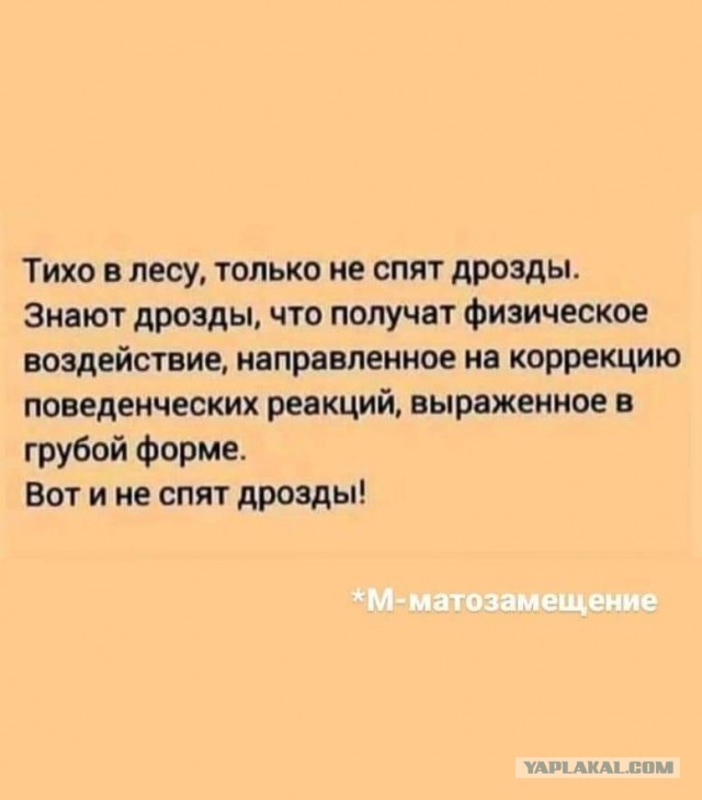 Немного картинок с надписями и без - 21.03.2021