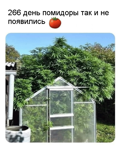 Садовод 2021