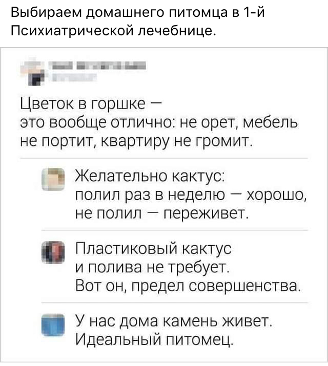 Просветление: ожидание и реальность