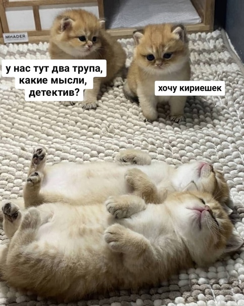 Картинки и мемы, всем прекрасных выходных