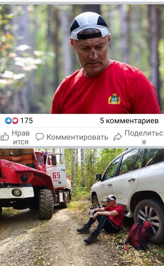 Бушеми здорового человека