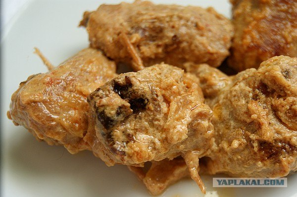 International одной книги., В память о Дженибеке.