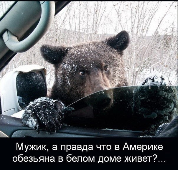 Так себе картинки 01.11.2021