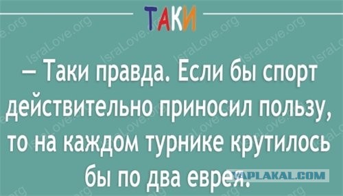 Весёлый полтишок 02.12