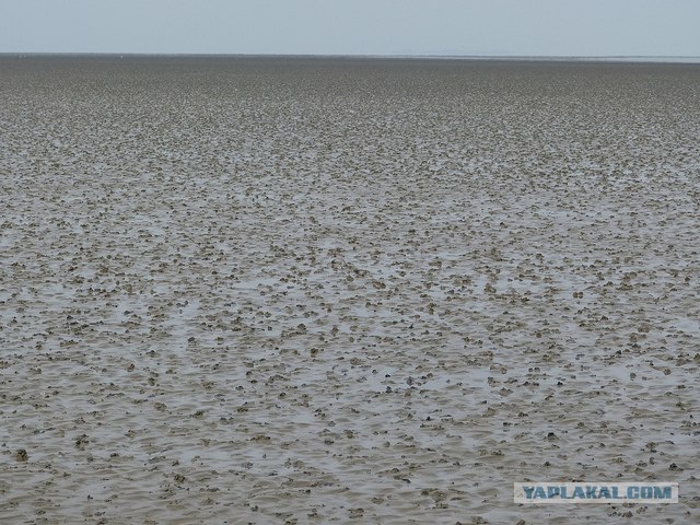 Побережье Северного моря.
