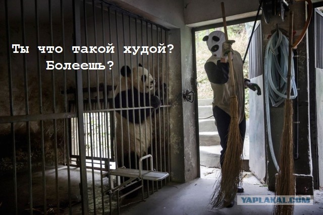 Когда ты смутно подозреваешь какой-то подвох, но еще не понял, в чем он