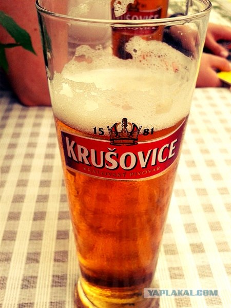 Пивная Прага