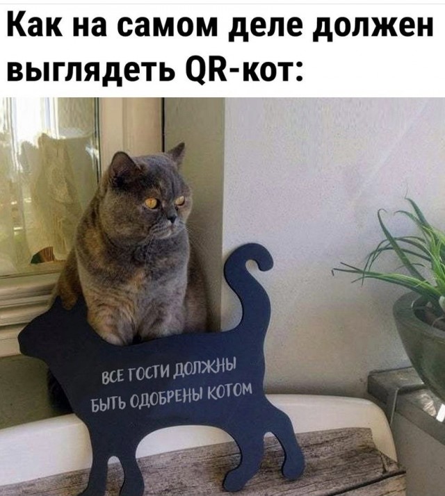 Картинки и мемы для настроения - 133