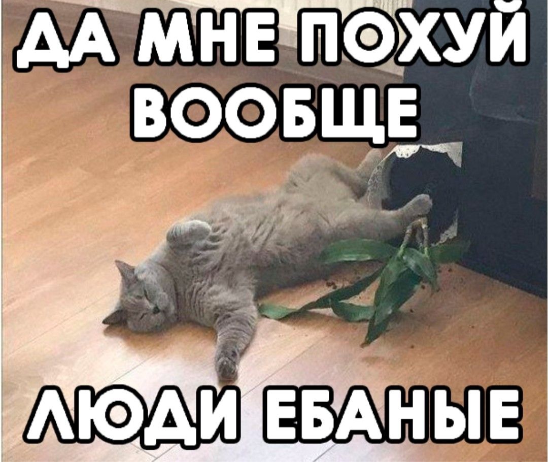 Человек Которому Реально Похуй