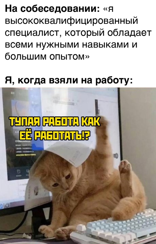 Весёлый полтишок 20.09.23