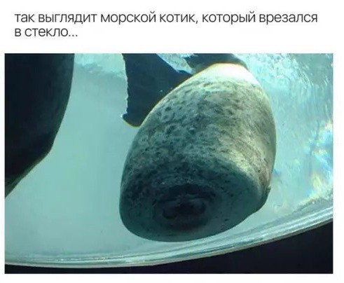 Всего понемногу. От 29.07