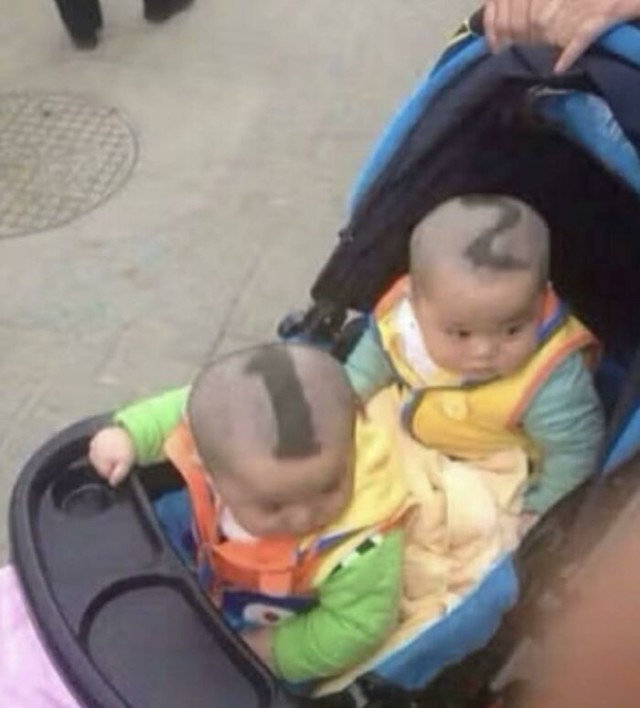 Большая семья