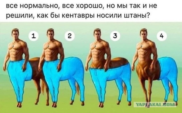 Весёлый полтишок 14.05.25.