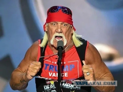 Возьмите их в WWE! Срочно!