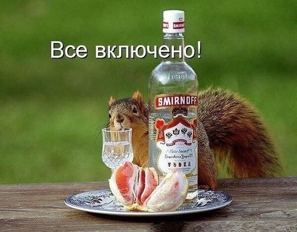 Прикольные и просто красивые картинки 13.06.2025
