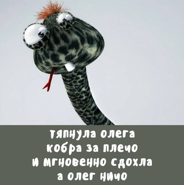 Так себе картинки 13.08.25