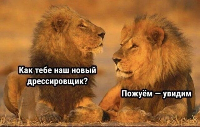 Понедельника картинки