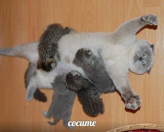 Пятничные картинки