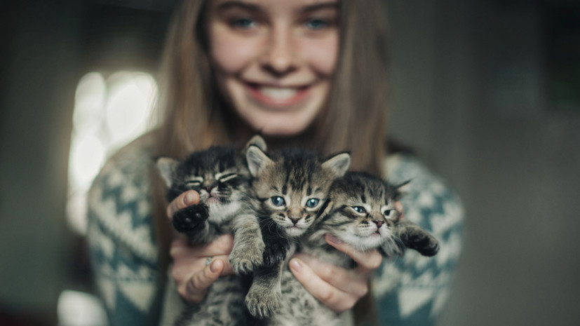 Россия возглавила мировой рейтинг самых «кошачьих» стран