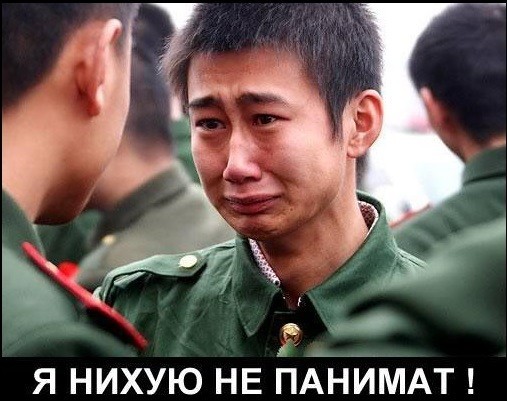 Лето в моём дворе