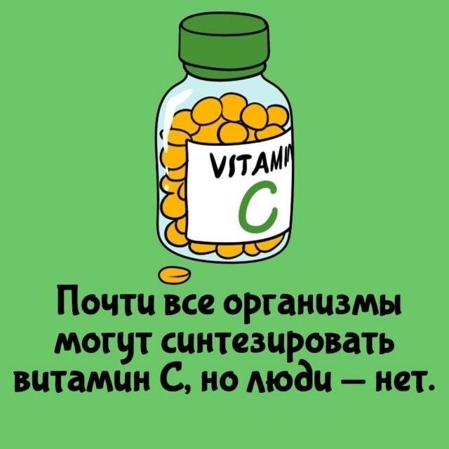 Интересные и короткие факты,на все случаи жизни 23.10.26