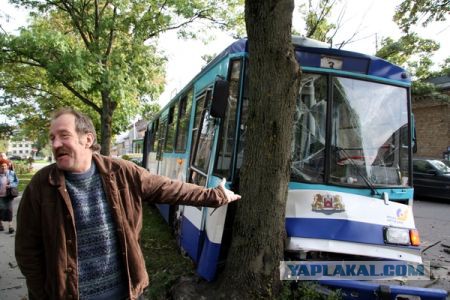 Неожиданно из-за дерева показалась чья-то морда