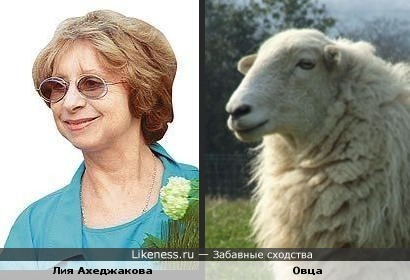 30 актеров, которых все путают