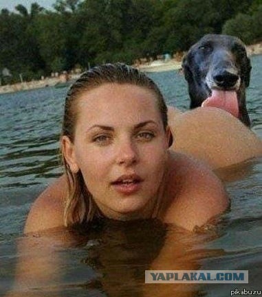 19 фотографий, где фон намного интересней переднего плана