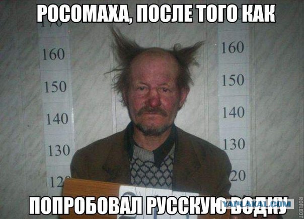 Смешные картинки с надписями