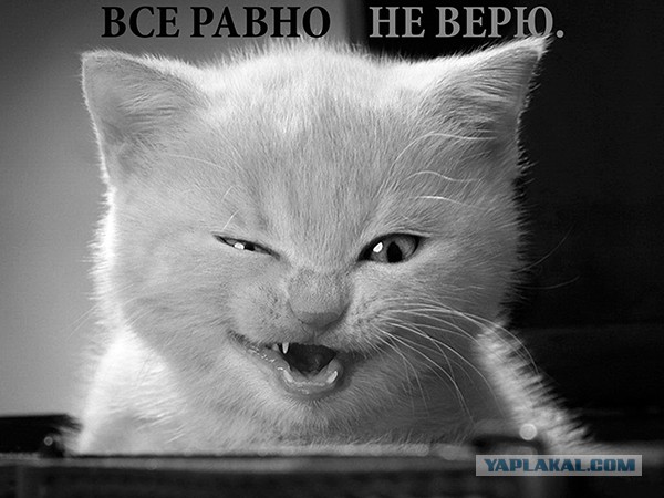 Новый имидж Поклонской