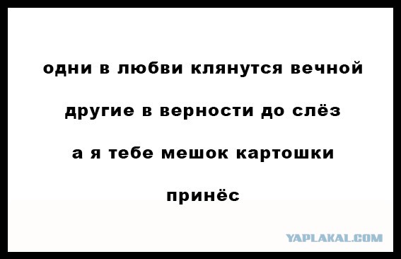 Весёлые строки