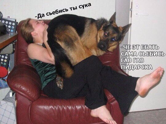 Подборка картинок