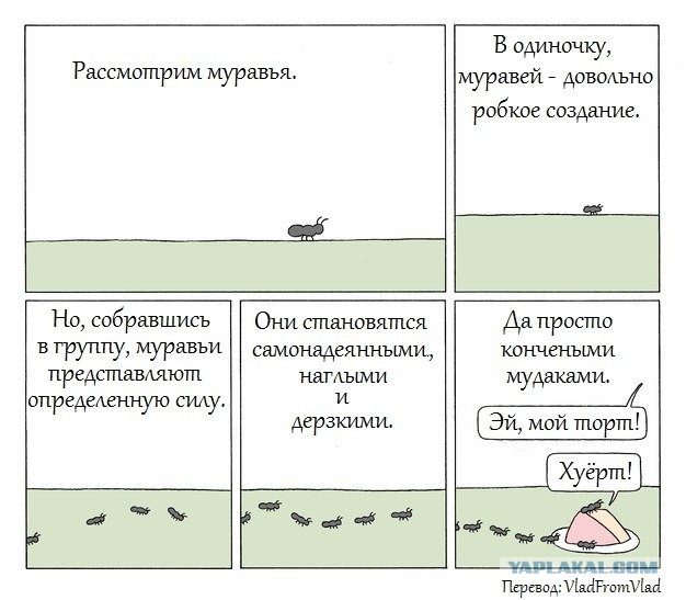 Тридцать одна картинка упоротого арта.