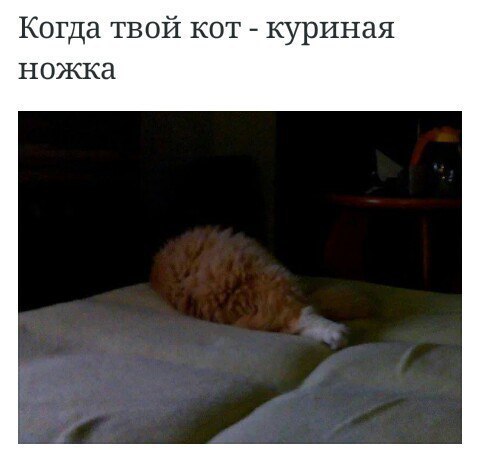 Немного картинок