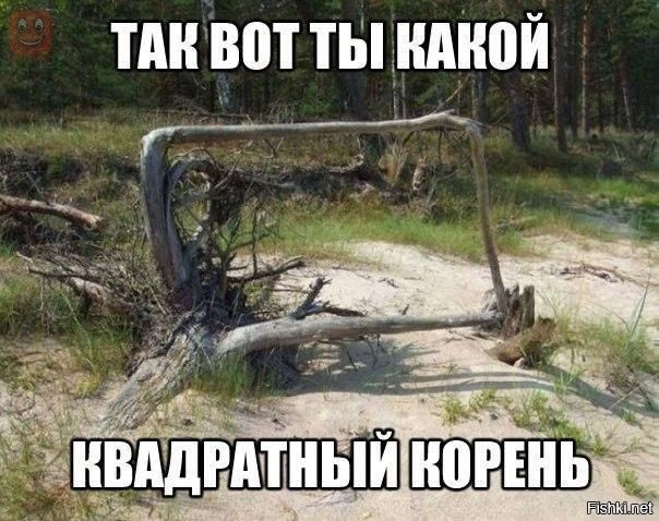 Подборка интересных и веселых картинок