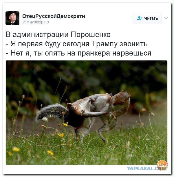 Смешные комментарии 12.02.2017